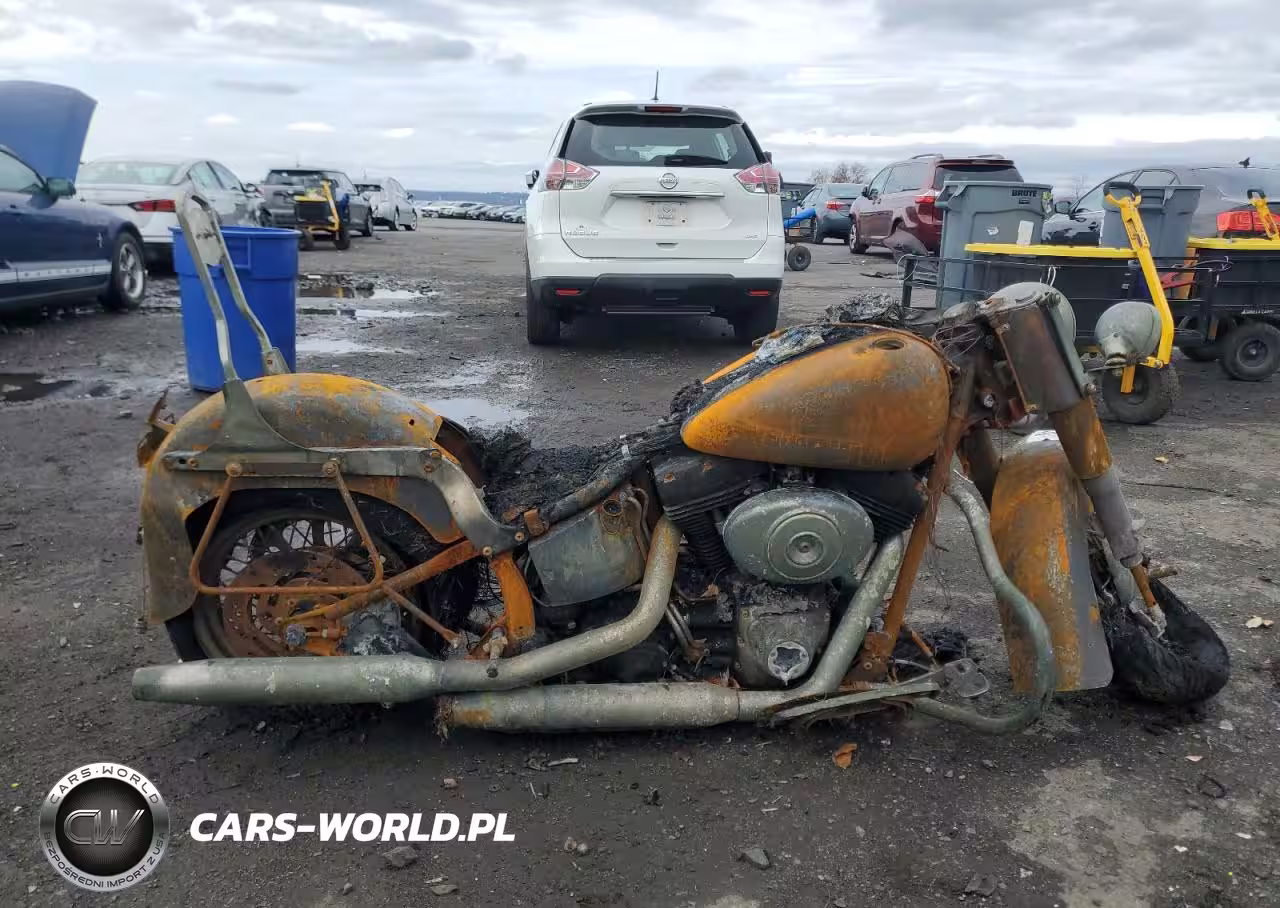 2005 Harley-Davidson Flstci