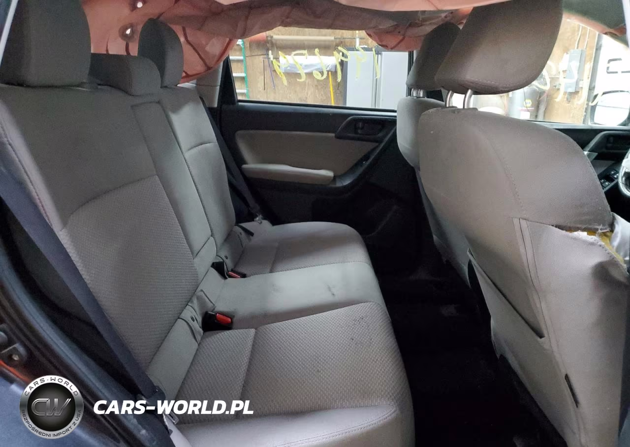 2014 Subaru Forester 2.5I Premium VIN:JF2SJAEC9EH496411 - 11
