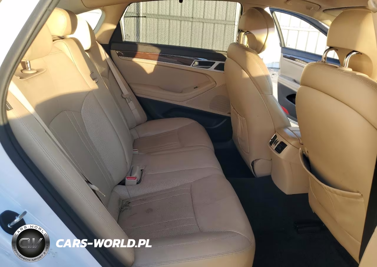 2015 Hyundai Genesis 3.8L VIN:KMHGN4JE8FU050370 - 10