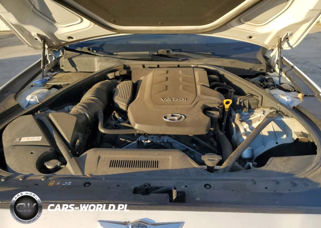2015 Hyundai Genesis 3.8L VIN:KMHGN4JE8FU050370 - 11