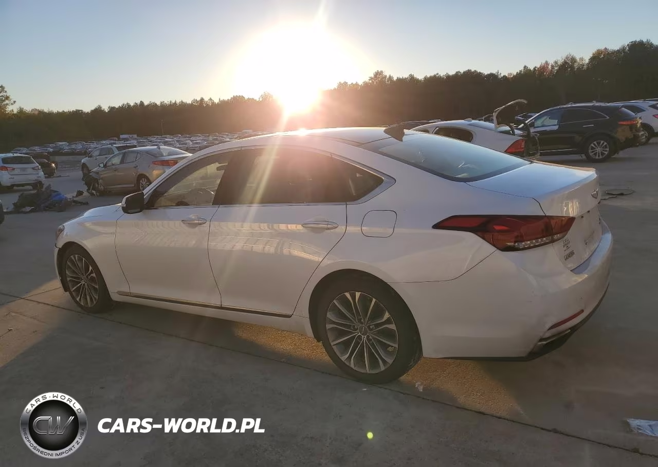 2015 Hyundai Genesis 3.8L VIN:KMHGN4JE8FU050370 - 2