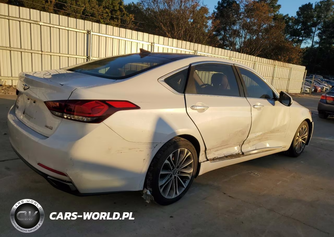 2015 Hyundai Genesis 3.8L VIN:KMHGN4JE8FU050370 - 3