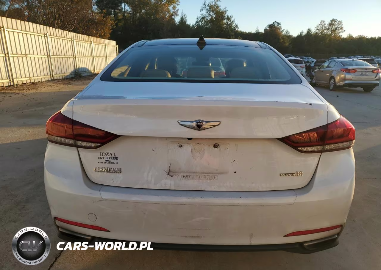 2015 Hyundai Genesis 3.8L VIN:KMHGN4JE8FU050370 - 6