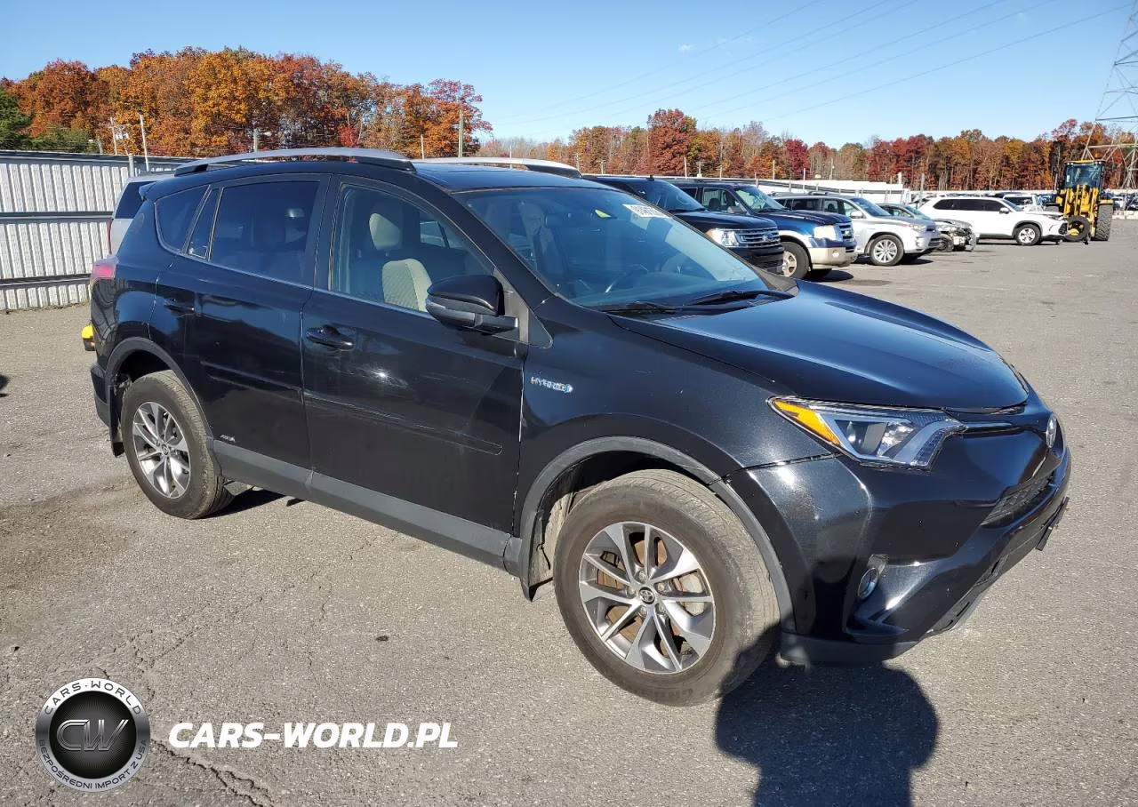 2016 Toyota Rav4 Hv Xle VIN:JTMRJREV7GD022464 - 4