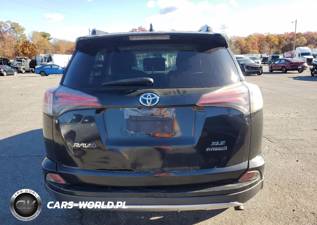 2016 Toyota Rav4 Hv Xle VIN:JTMRJREV7GD022464 - 6