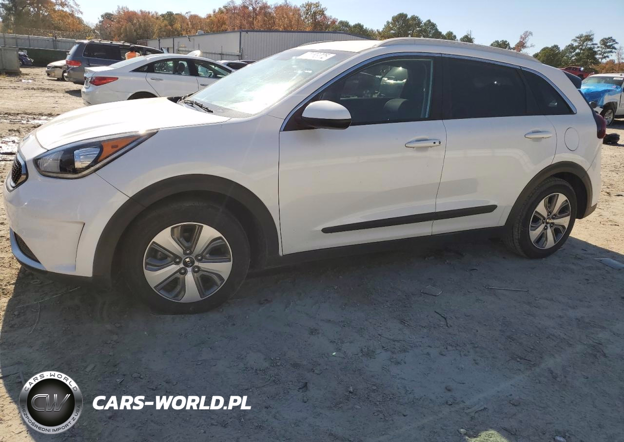 2019 Kia Niro Fe