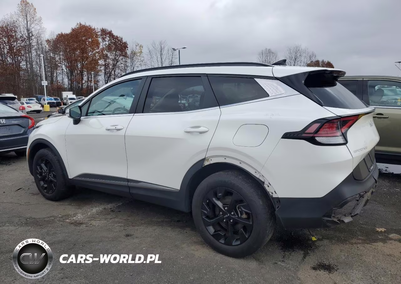 2023 Kia Sportage Ex VIN:KNDPVCAG0P7023924 - 2