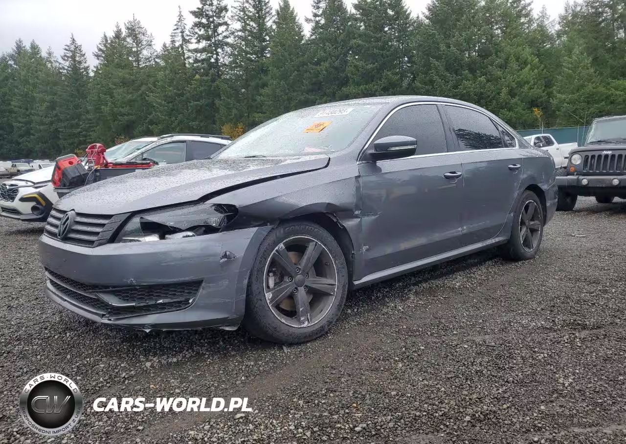 2013 Volkswagen Passat Se