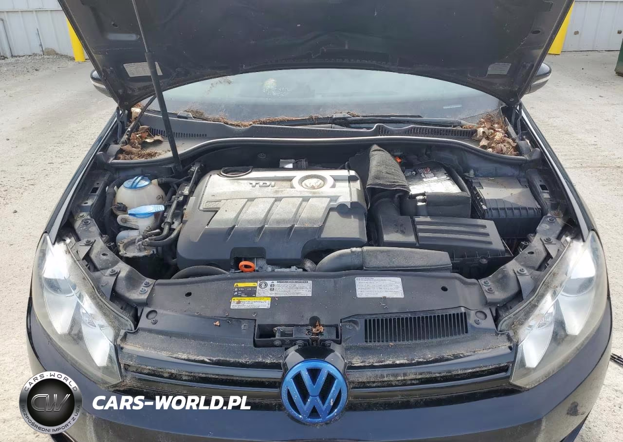 2013 Volkswagen Golf VIN:WVWDM7AJ1DW125291 - 11