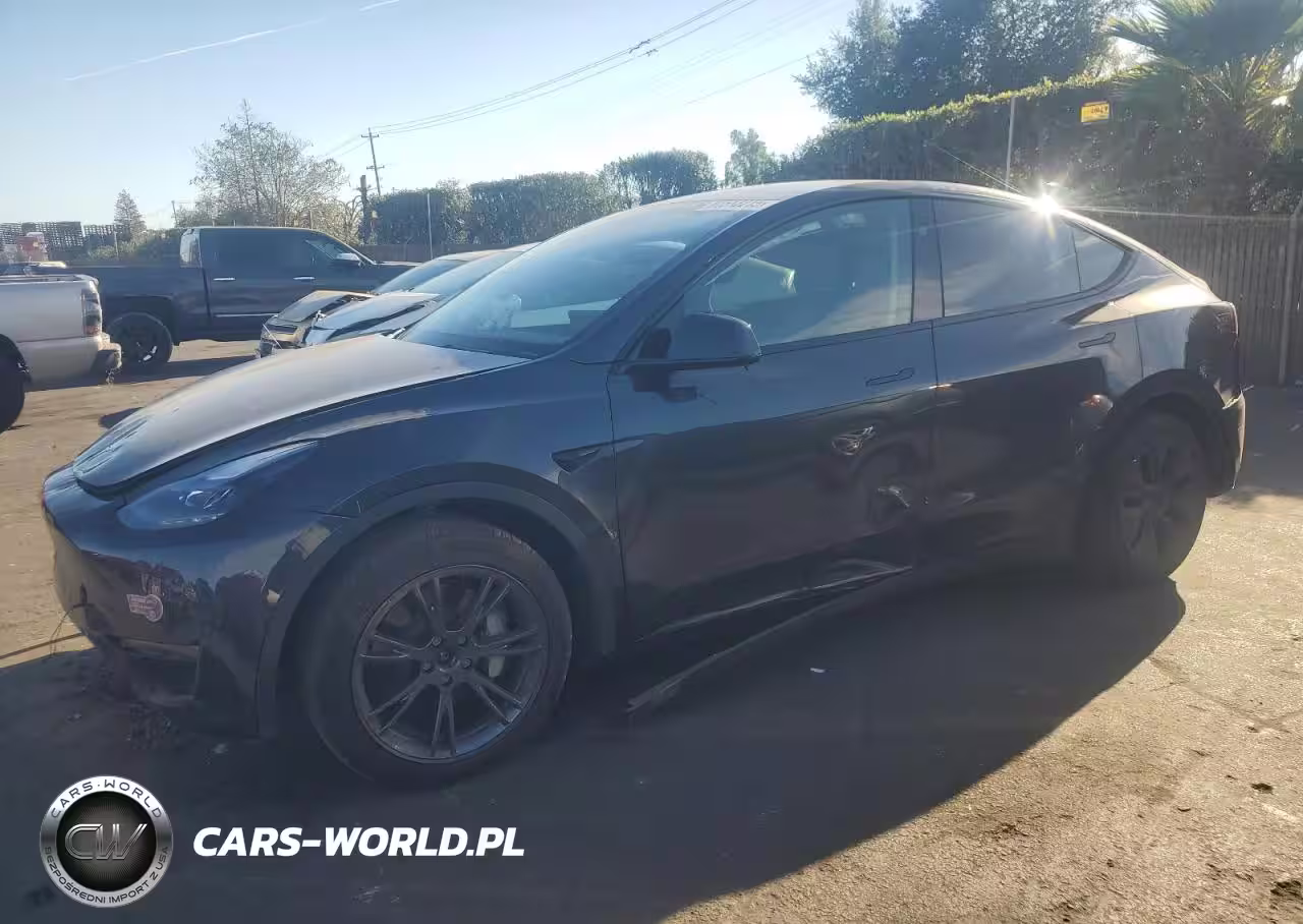 2024 Tesla Model Y