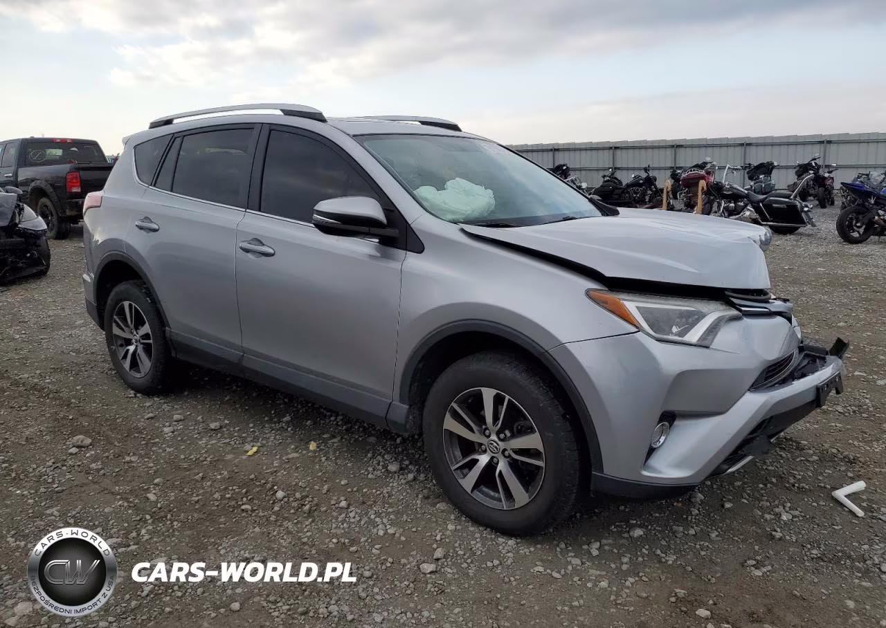 2016 Toyota Rav4 Xle VIN:2T3RFREV2GW445814 - 4