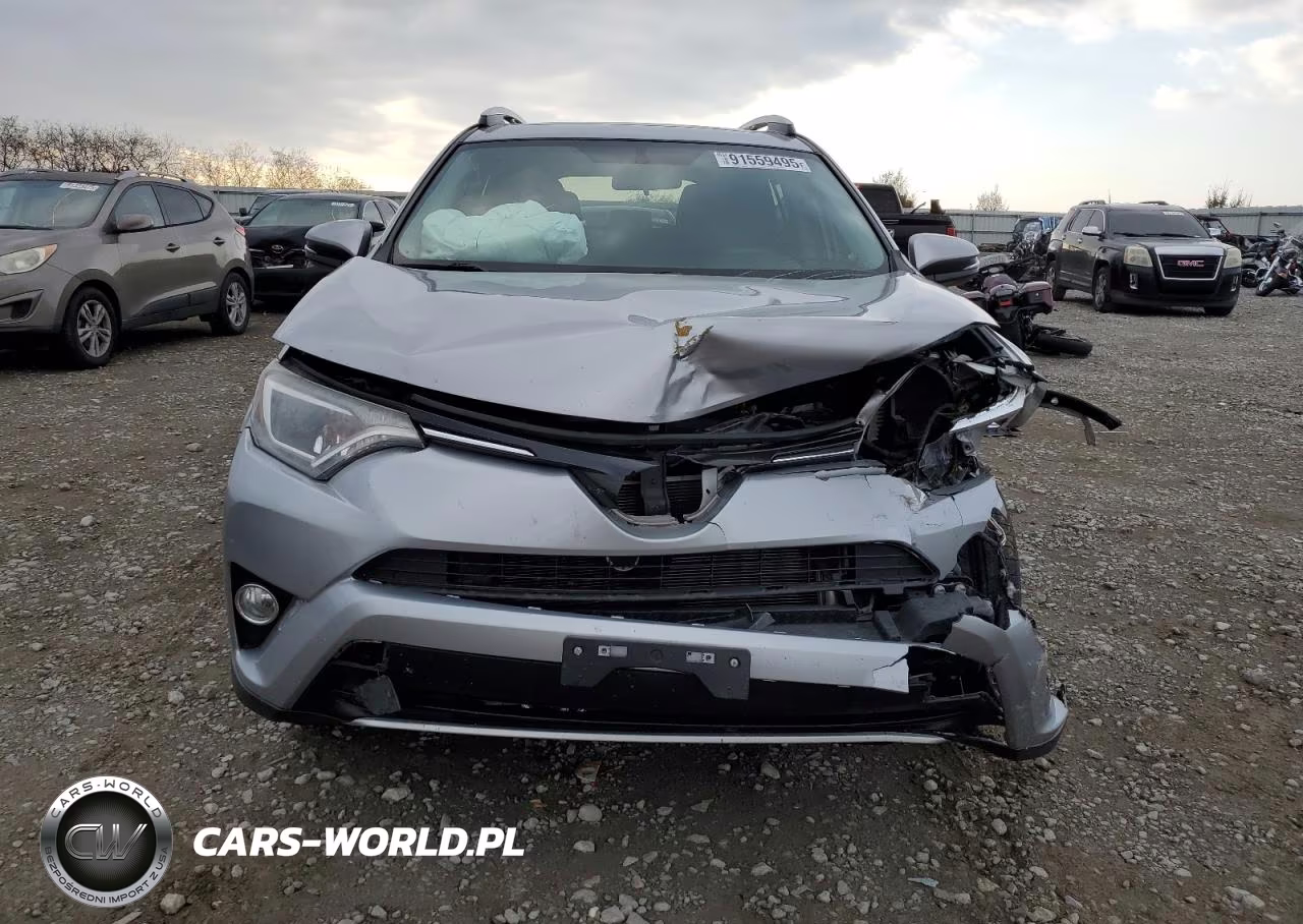 2016 Toyota Rav4 Xle VIN:2T3RFREV2GW445814 - 5