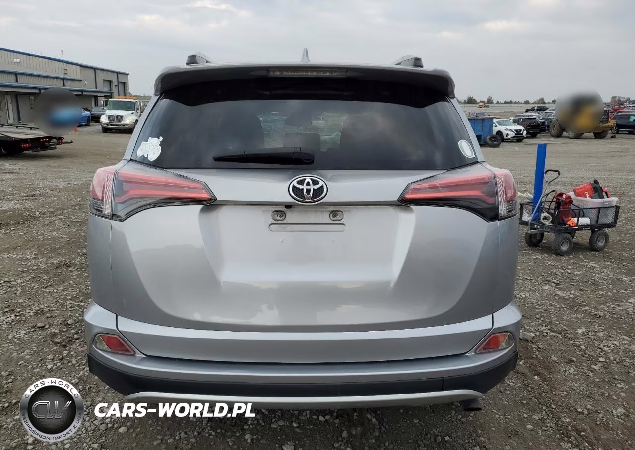 2016 Toyota Rav4 Xle VIN:2T3RFREV2GW445814 - 6
