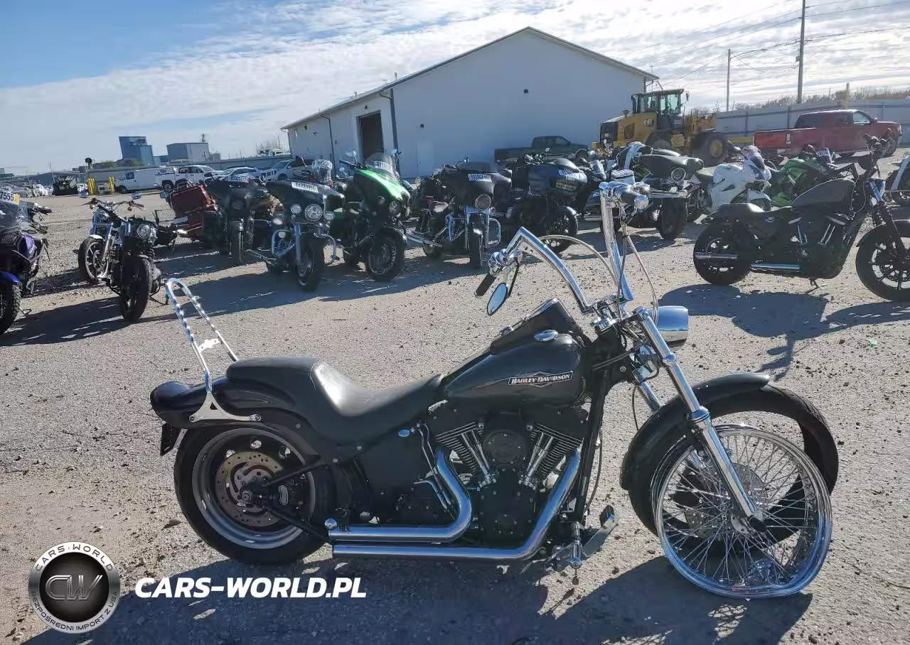 2006 Harley-Davidson Fxstbi