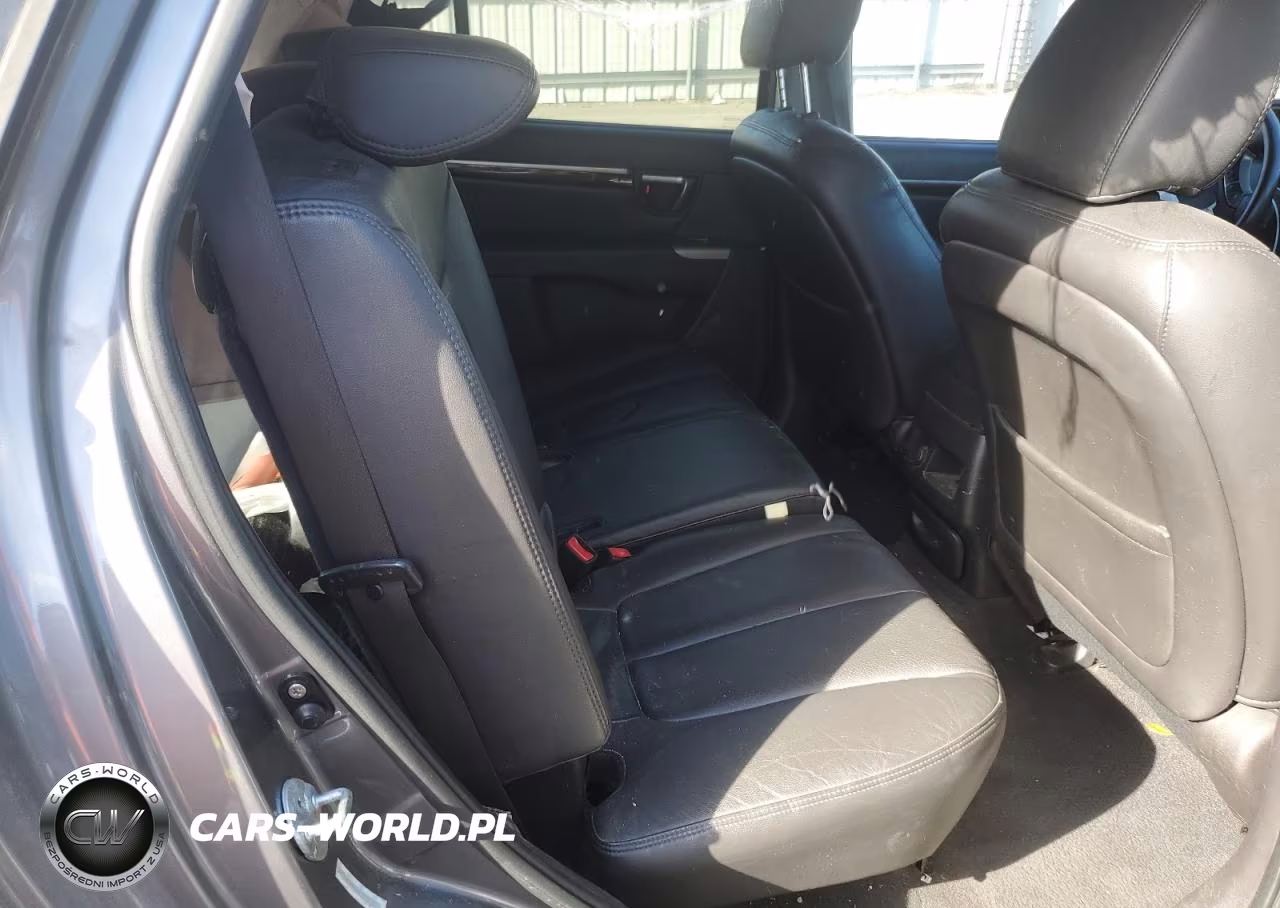 2010 Hyundai Santa Fe Limited VIN:5NMSK4AG9AH375215 - 11