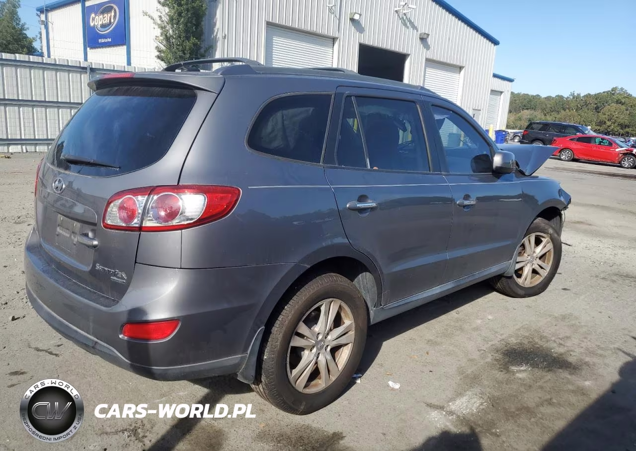 2010 Hyundai Santa Fe Limited VIN:5NMSK4AG9AH375215 - 3