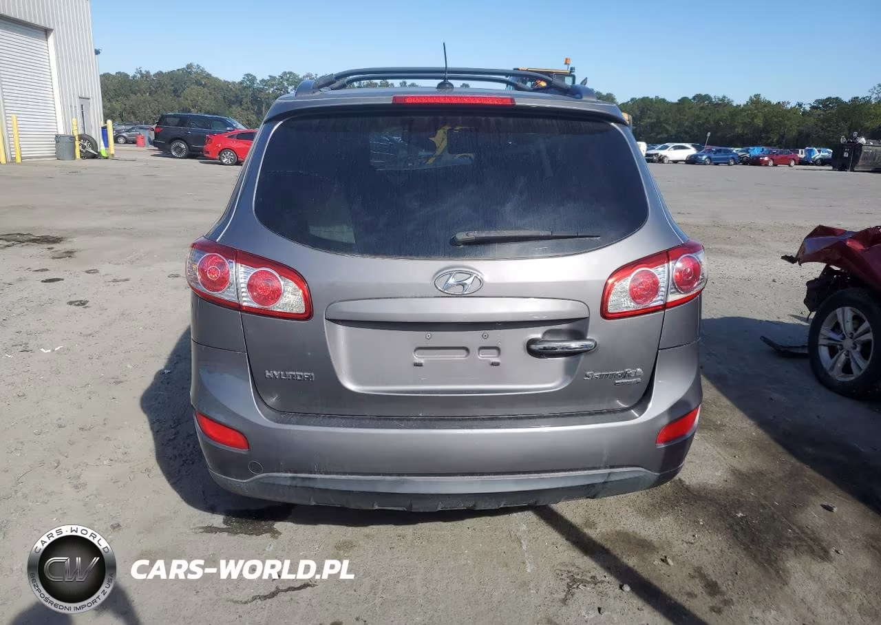2010 Hyundai Santa Fe Limited VIN:5NMSK4AG9AH375215 - 6