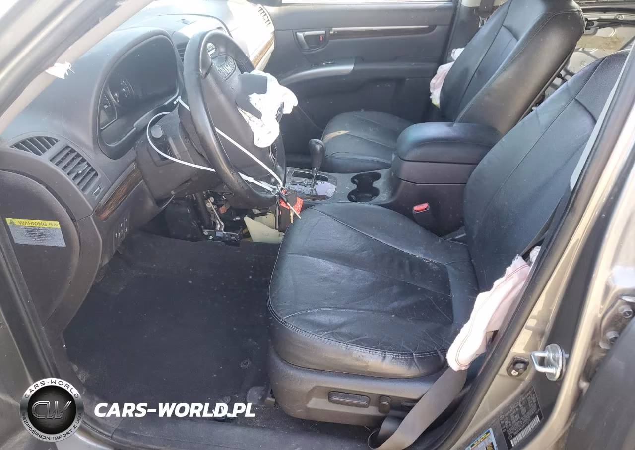 2010 Hyundai Santa Fe Limited VIN:5NMSK4AG9AH375215 - 7