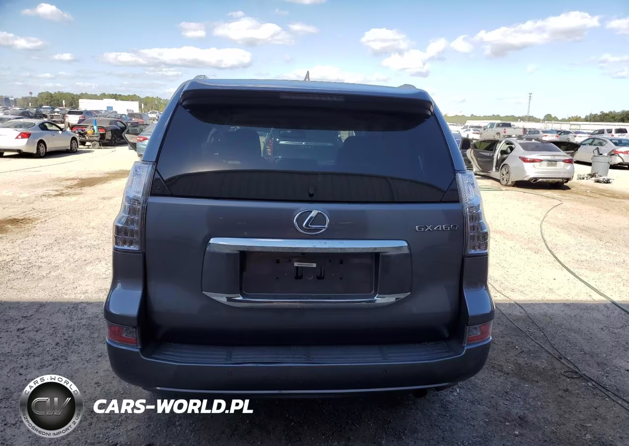2017 Lexus Gx 460 VIN:JTJBM7FX5H5163295 - 6