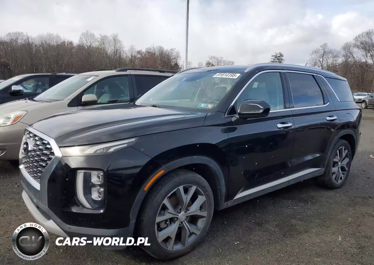 2020 Hyundai Palisade Sel