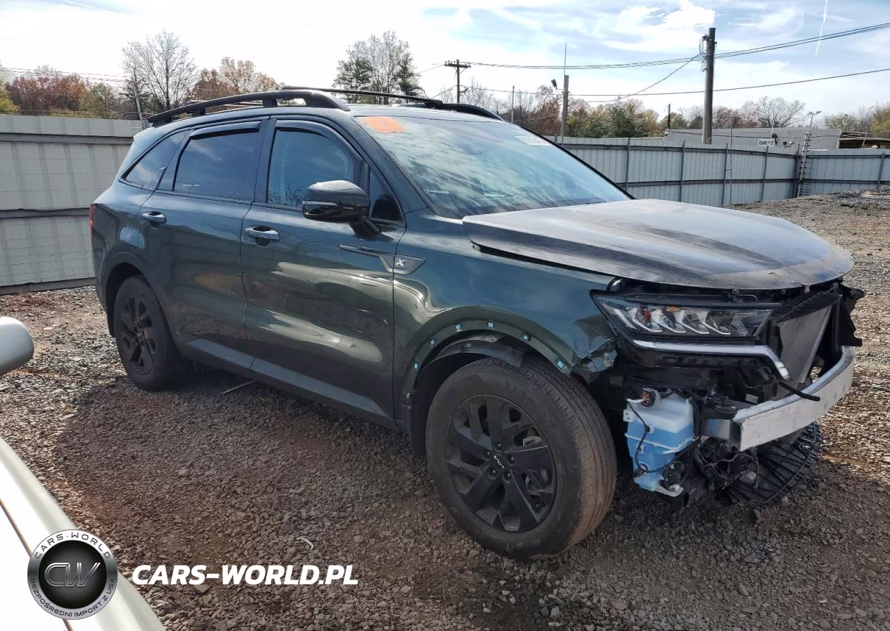 2023 Kia Sorento S VIN:5XYRLDLC0PG174960 - 4