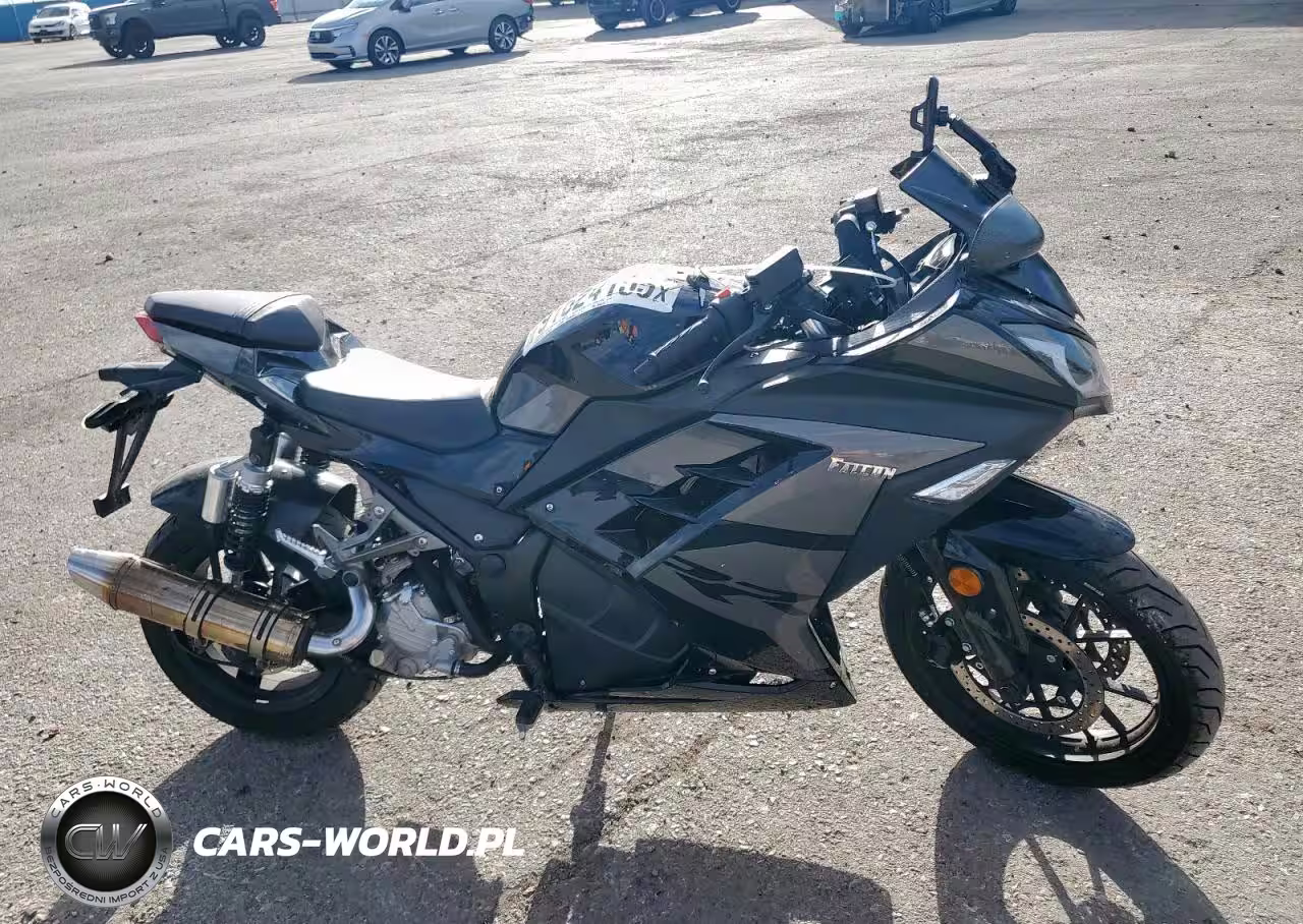 2021 Other Motorcycles Falcon 250