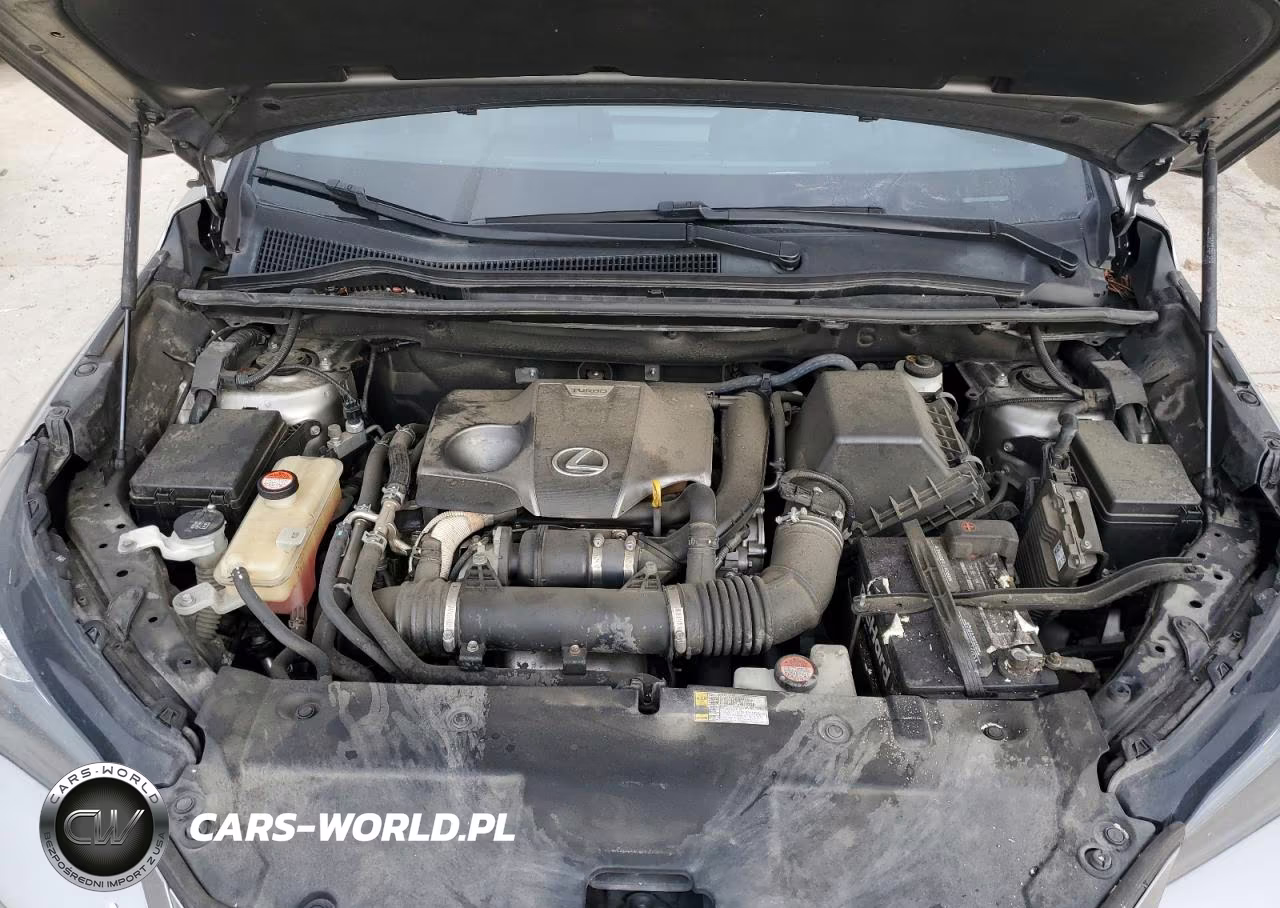 2015 Lexus Nx 200T VIN:JTJYARBZ2F2015898 - 12