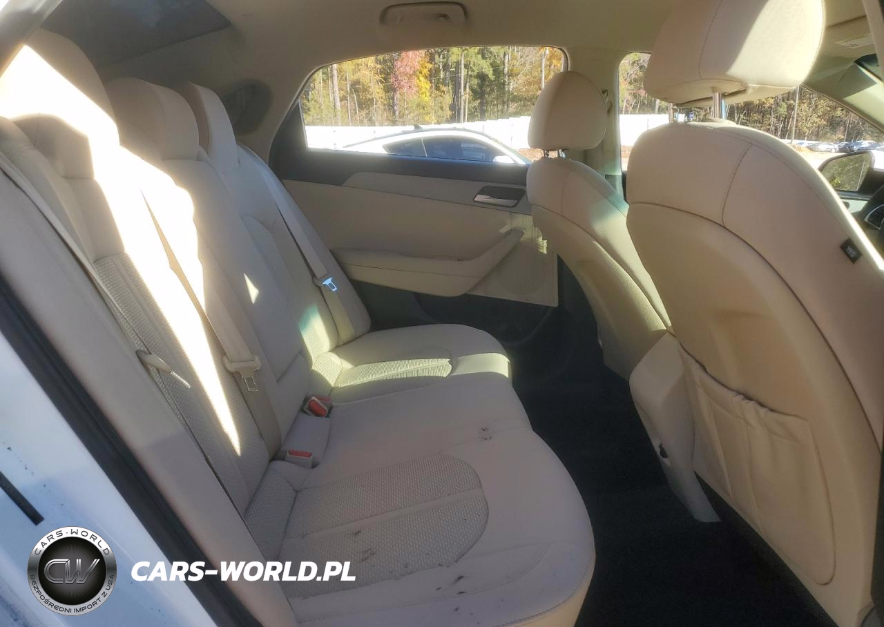 2019 Hyundai Sonata Se VIN:5NPE24AF9KH812865 - 10