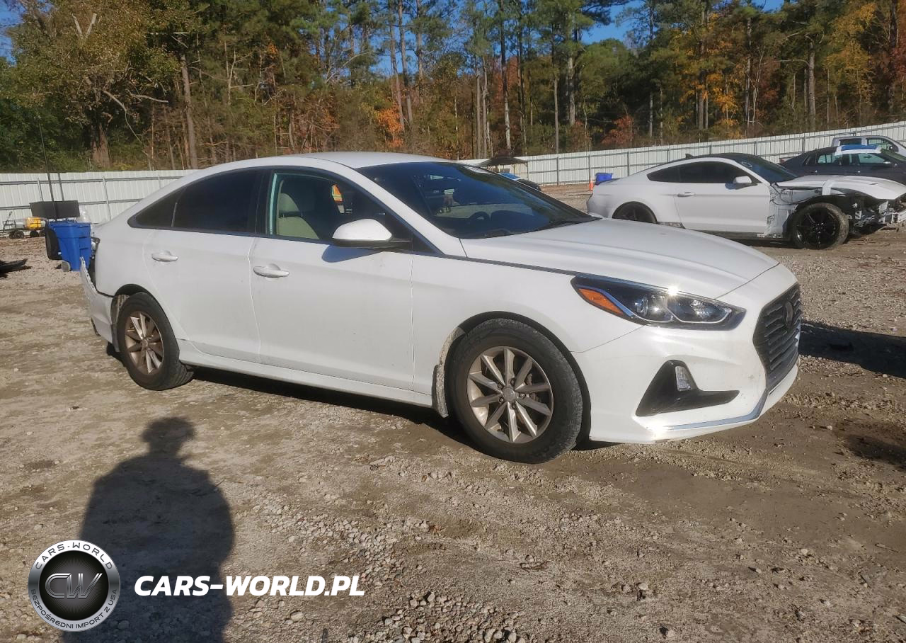 2019 Hyundai Sonata Se VIN:5NPE24AF9KH812865 - 4