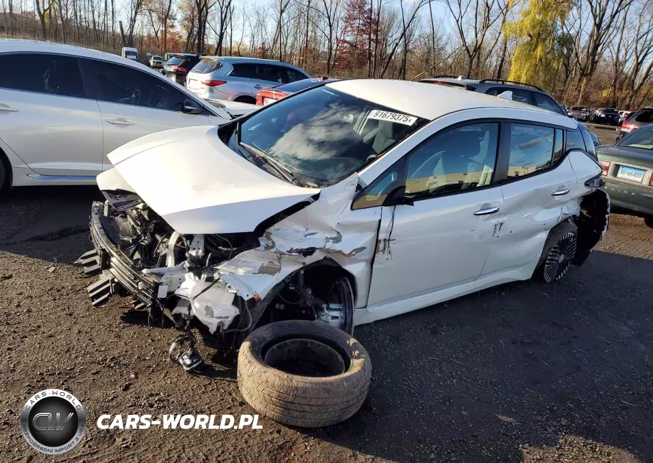 2025 Nissan Leaf Sv Plus