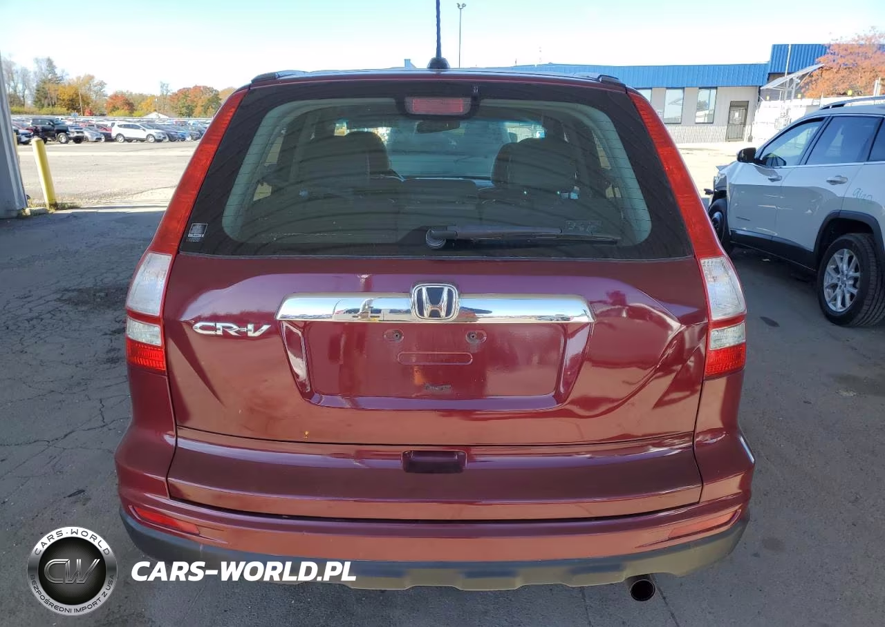 2010 Honda Cr-V Exl VIN:5J6RE3H72AL049920 - 6