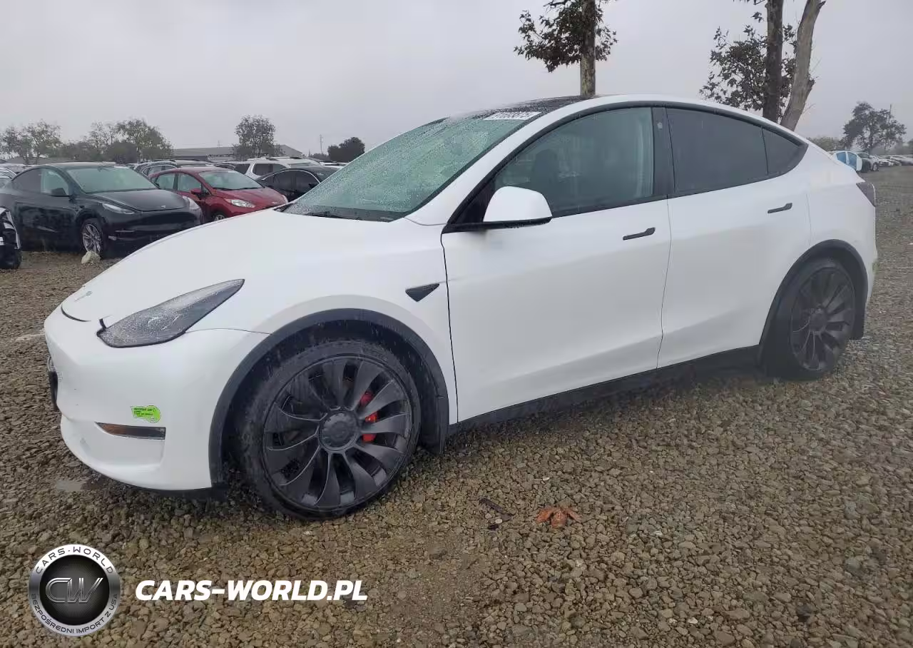 2023 Tesla Model Y