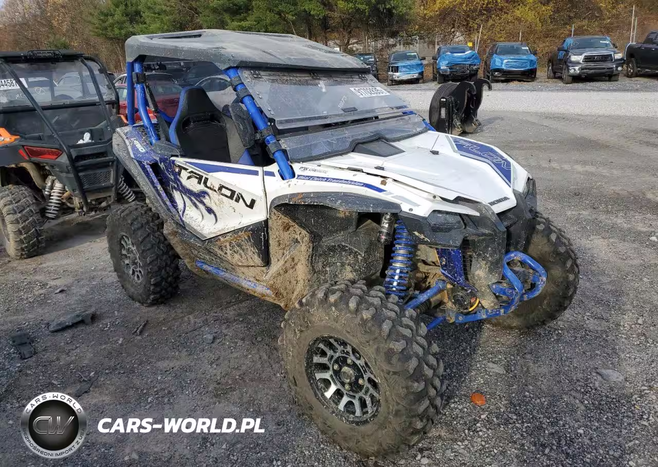 2021 Honda Sxs1000 S2X