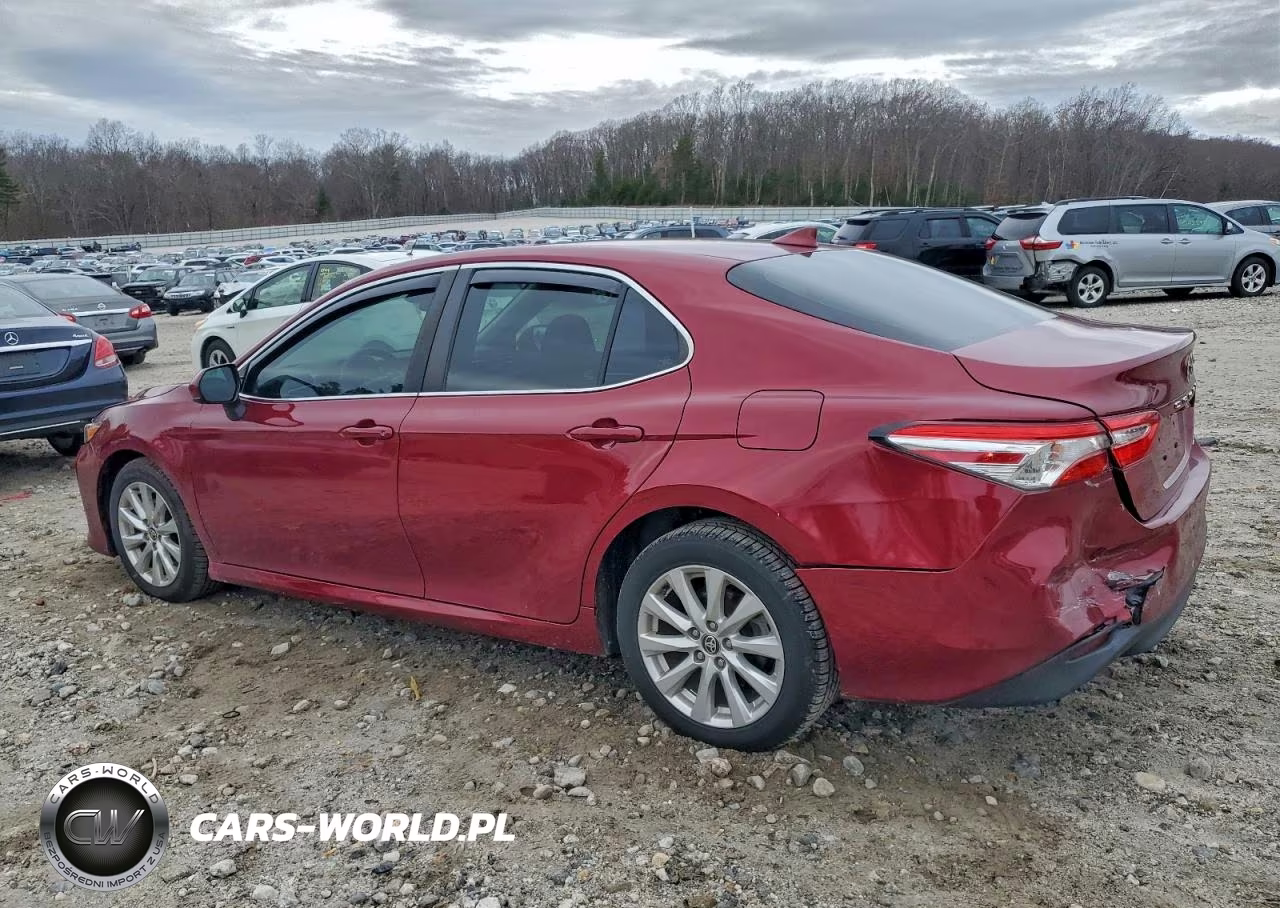 2020 Toyota Camry Le VIN:4T1C11AK5LU960021 - 2