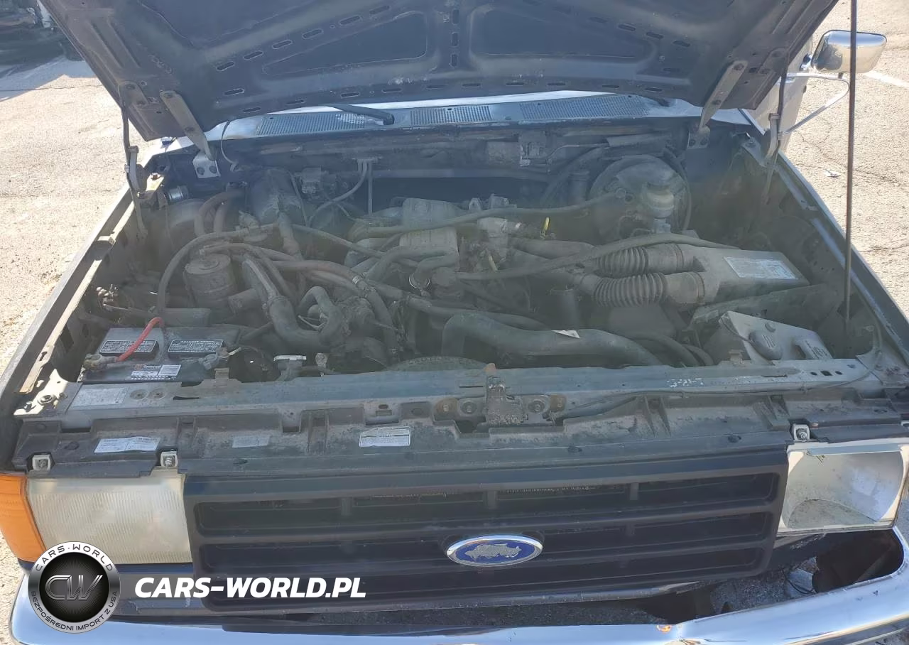 1987 Ford F150 VIN:1FTDF15Y0HKB03827 - 11