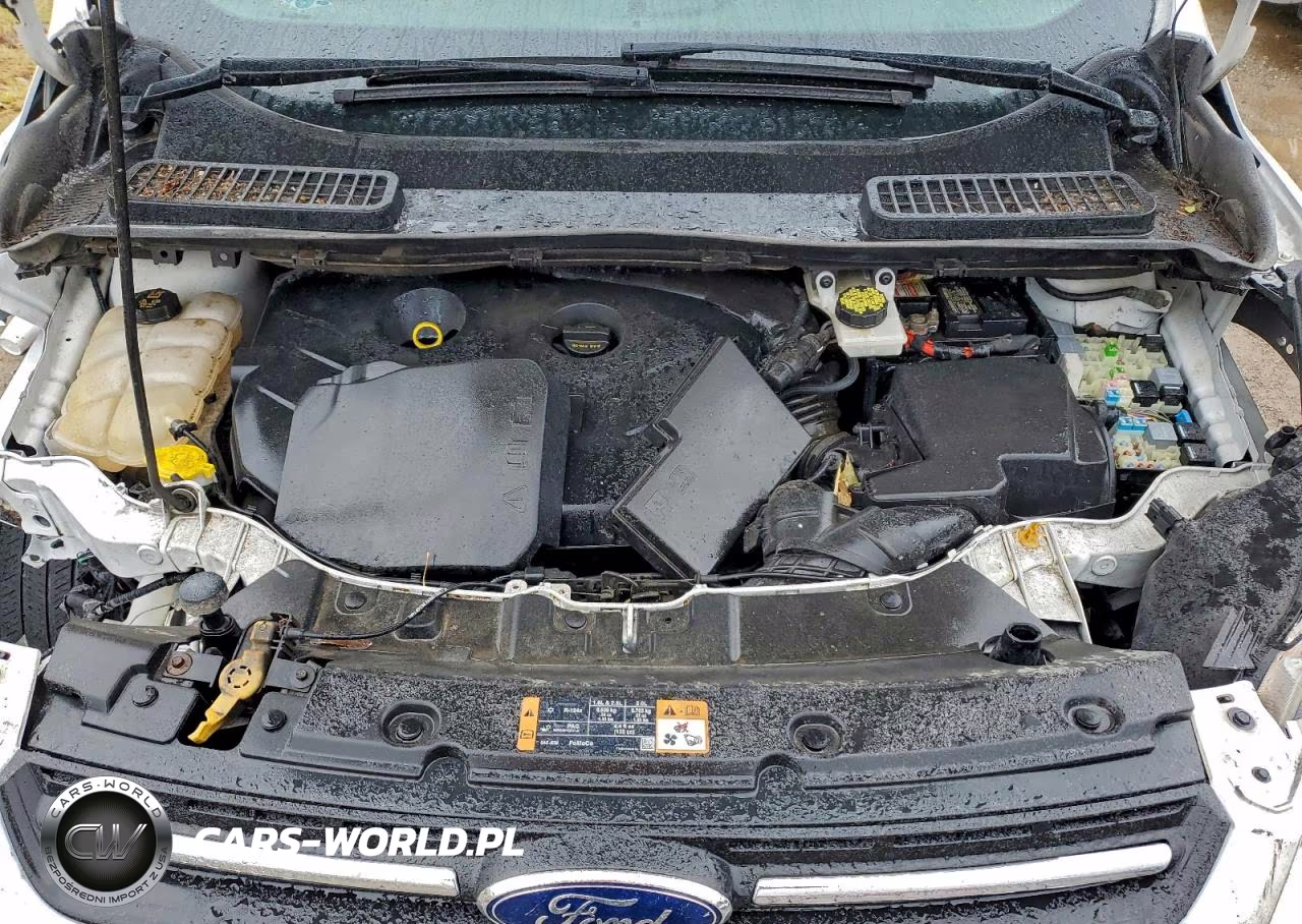 2015 Ford Escape Se VIN:1FMCU9G96FUC70096 - 12