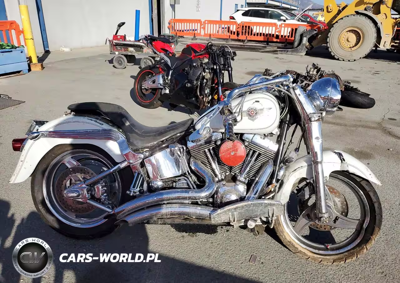 2002 Harley-Davidson Flstfi