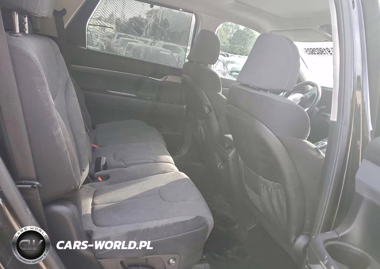 2020 Hyundai Palisade Sel VIN:KM8R34HEXLU074976 - 10