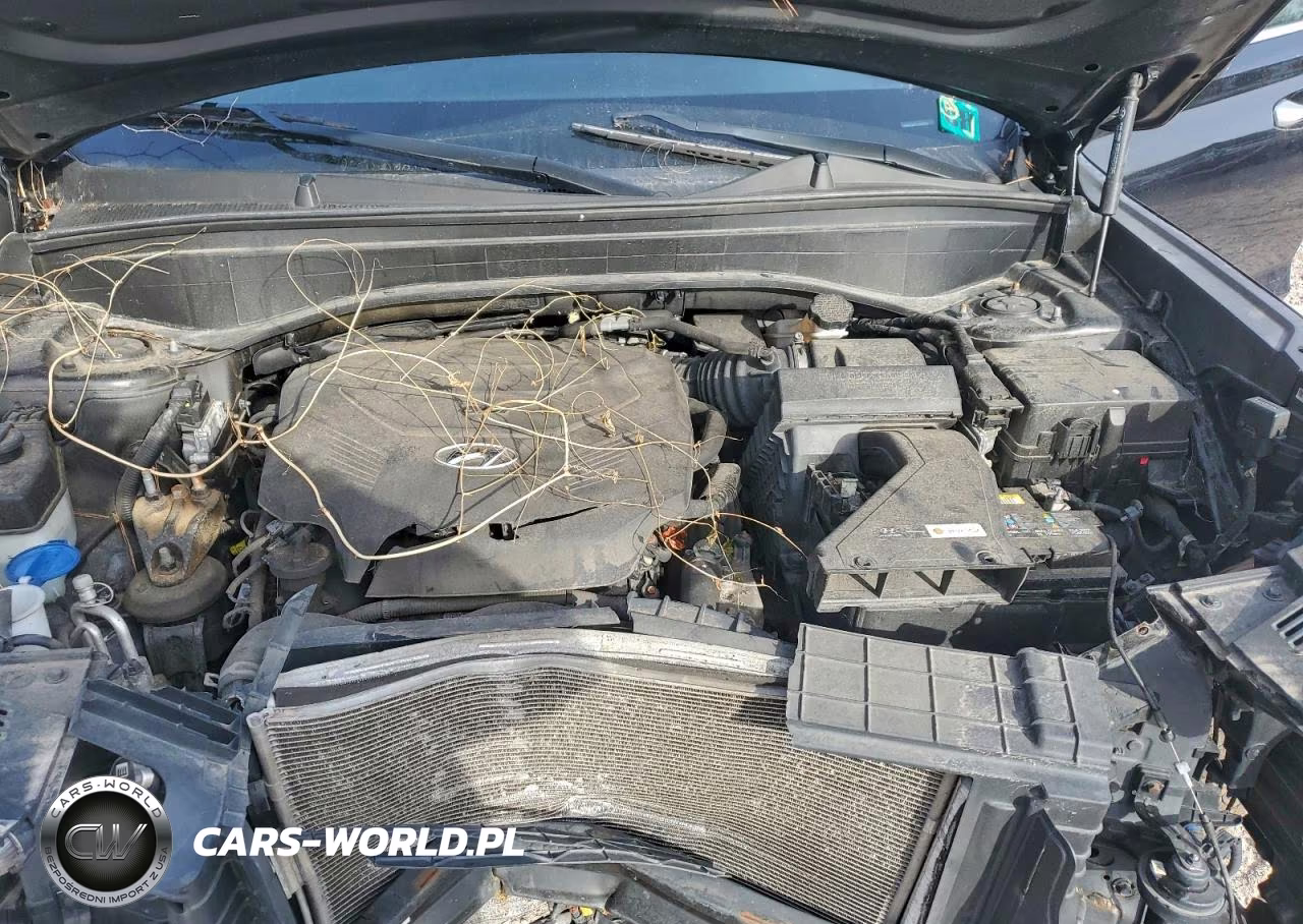 2020 Hyundai Palisade Sel VIN:KM8R34HEXLU074976 - 11