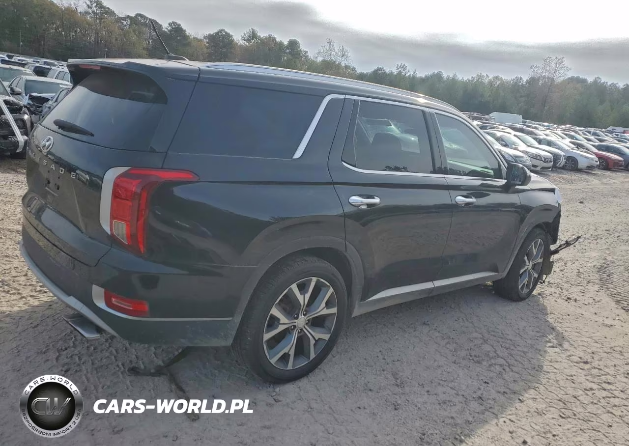 2020 Hyundai Palisade Sel VIN:KM8R34HEXLU074976 - 3