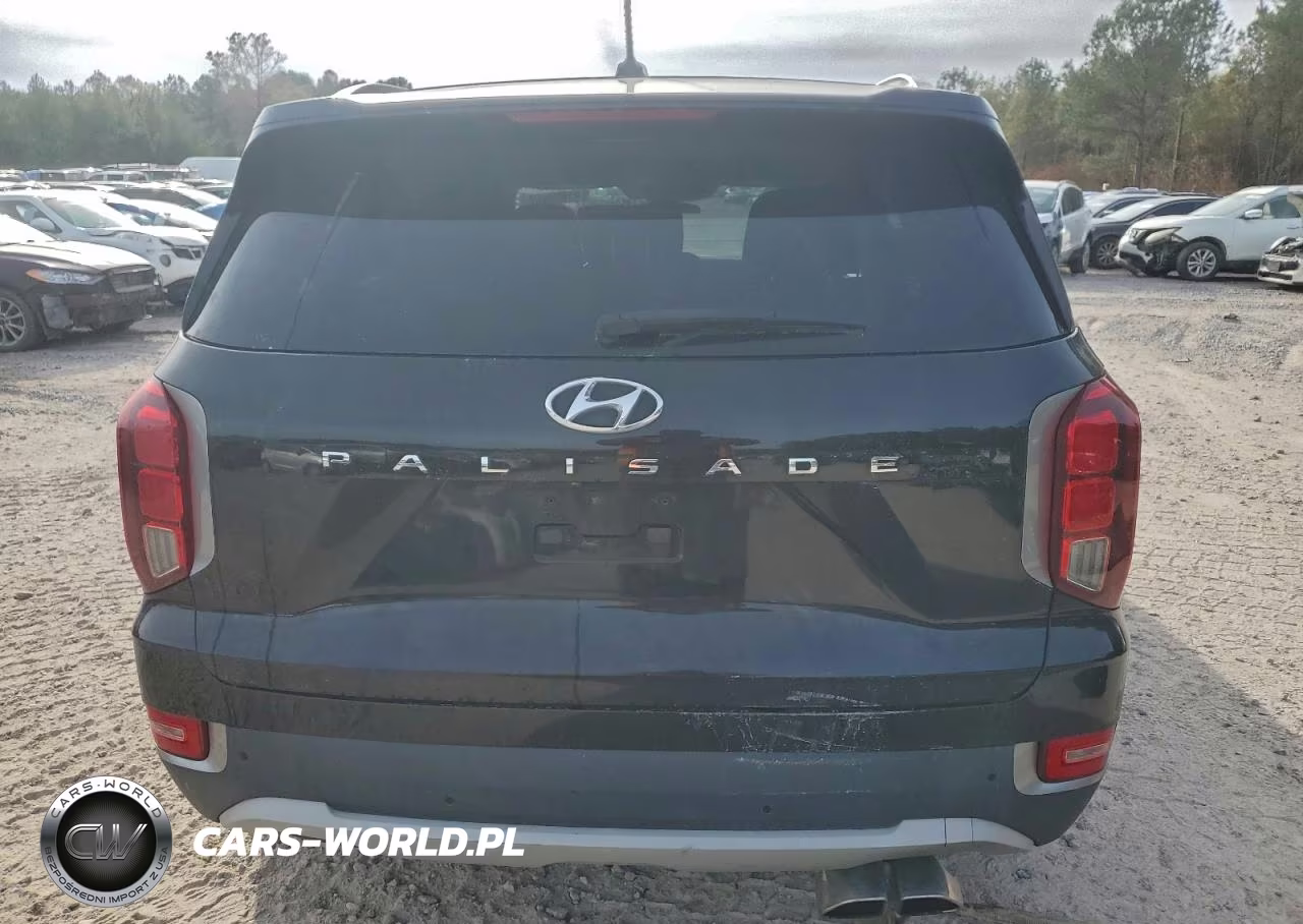 2020 Hyundai Palisade Sel VIN:KM8R34HEXLU074976 - 6