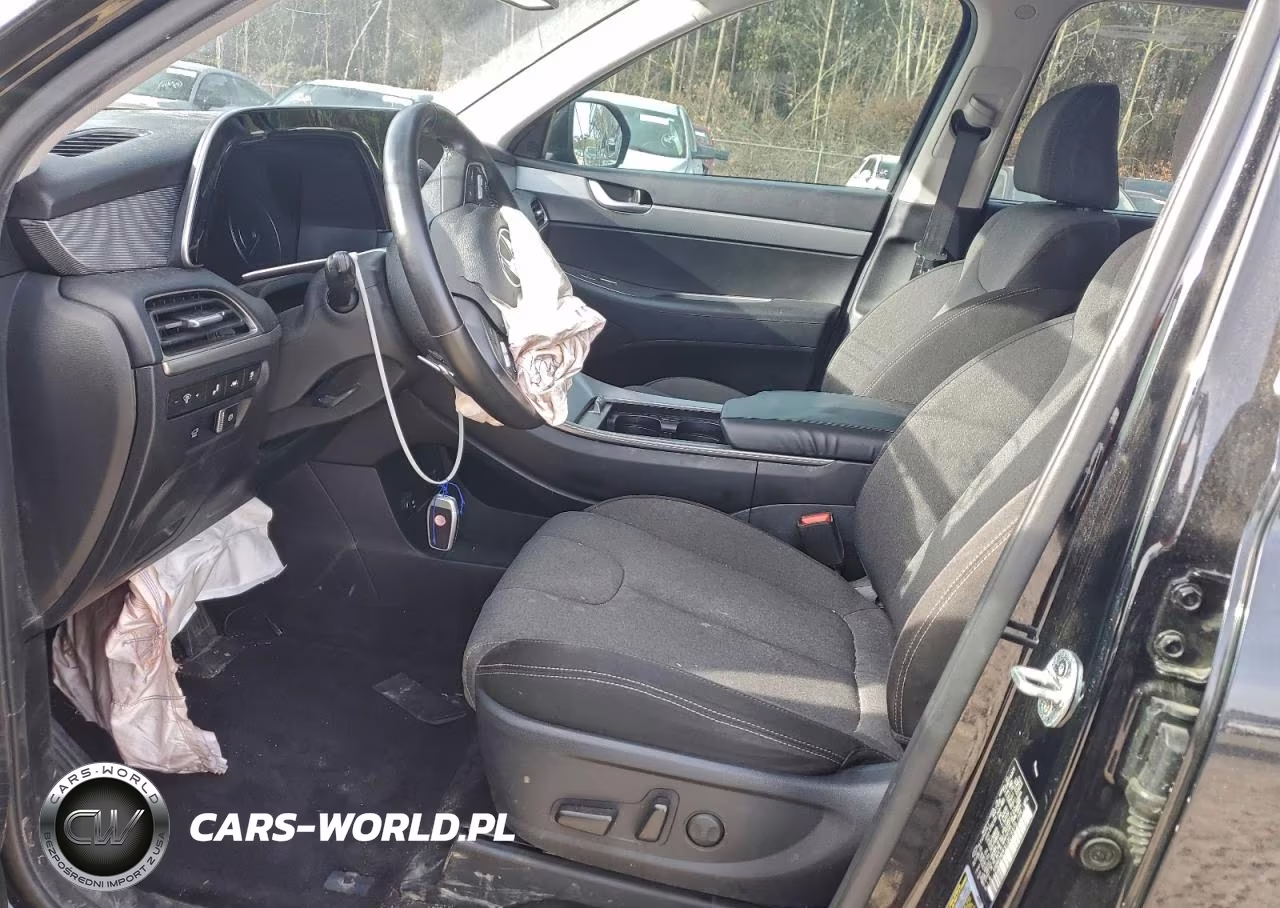 2020 Hyundai Palisade Sel VIN:KM8R34HEXLU074976 - 7