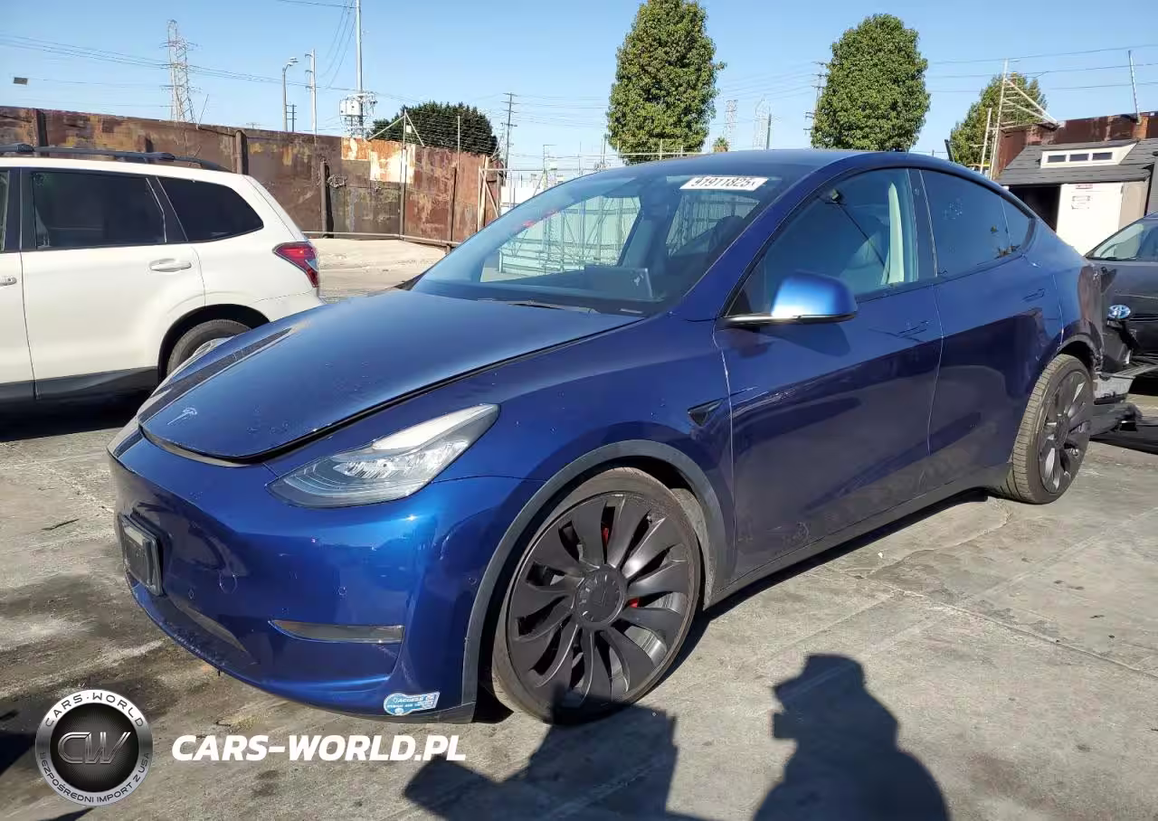 2021 Tesla Model Y