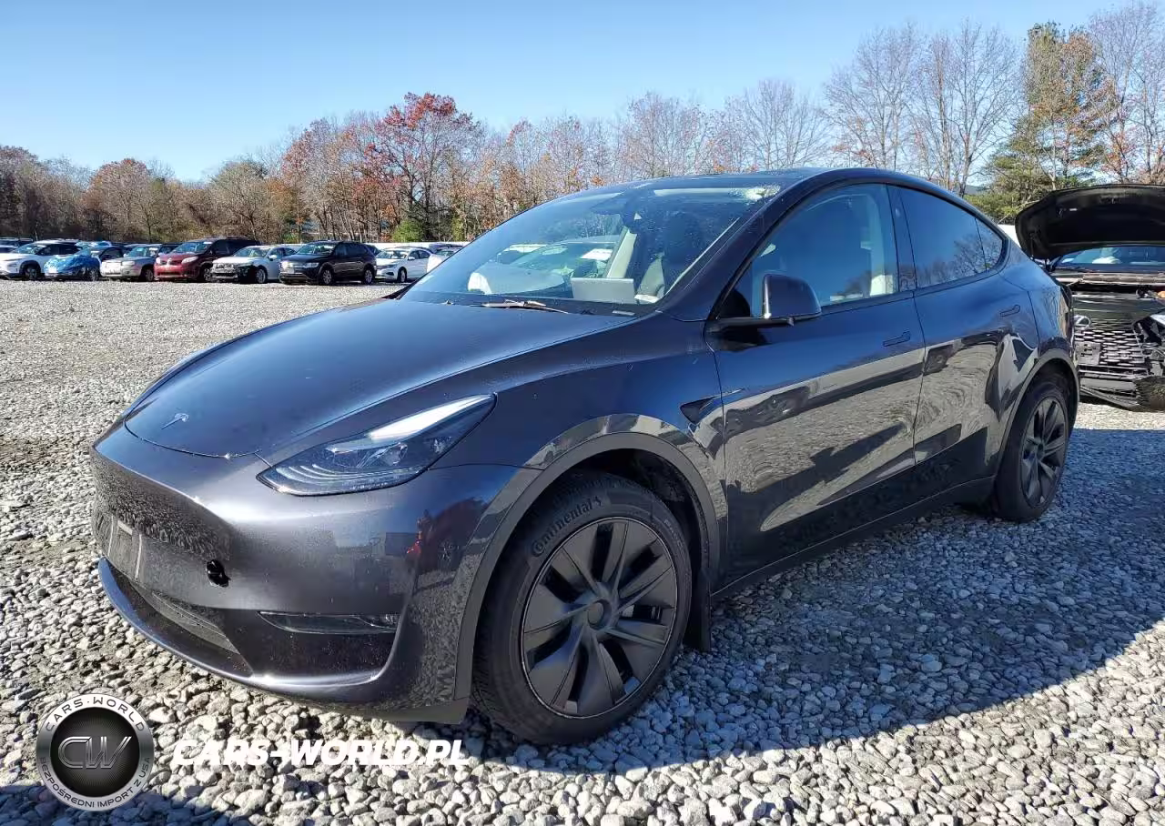 2024 Tesla Model Y
