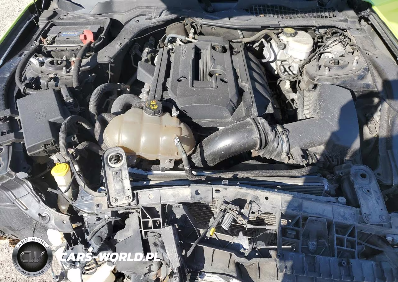 2019 Ford Mustang VIN:1FA6P8TH3K5181211 - 11