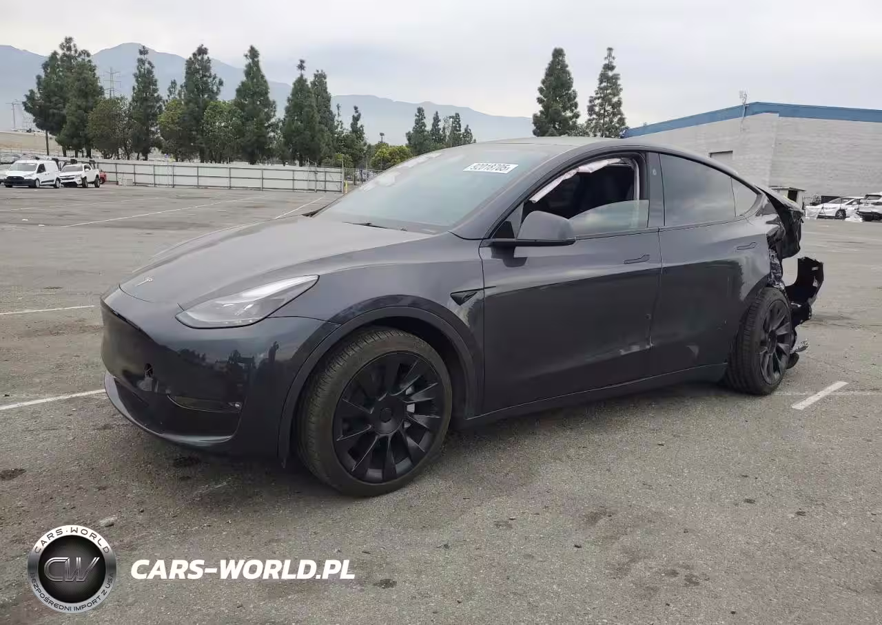 2024 Tesla Model Y