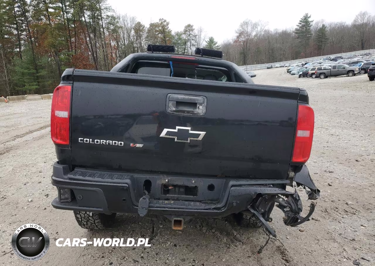 2019 Chevrolet Colorado Z71 VIN:1GCGTDEN9K1188581 - 6