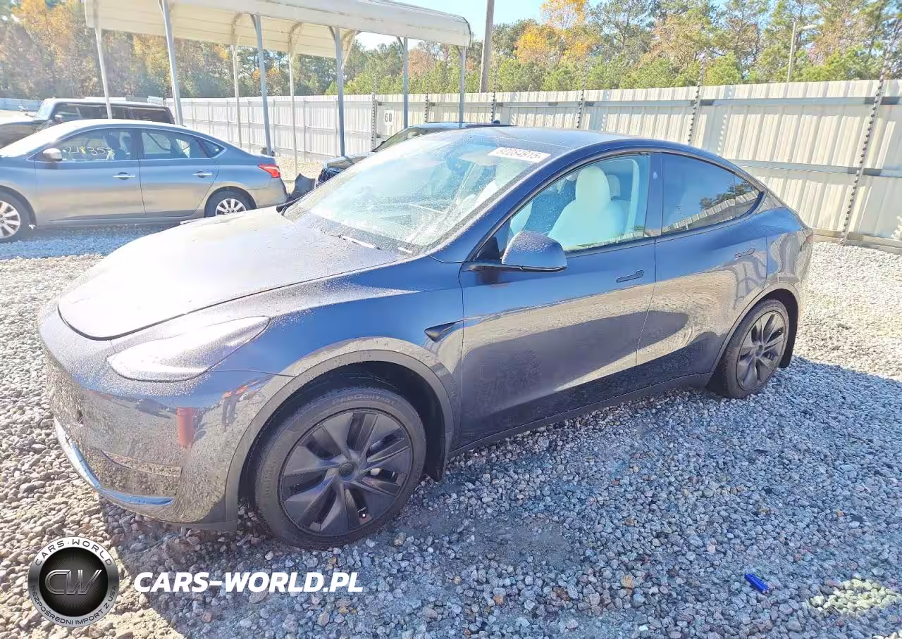 2024 Tesla Model Y