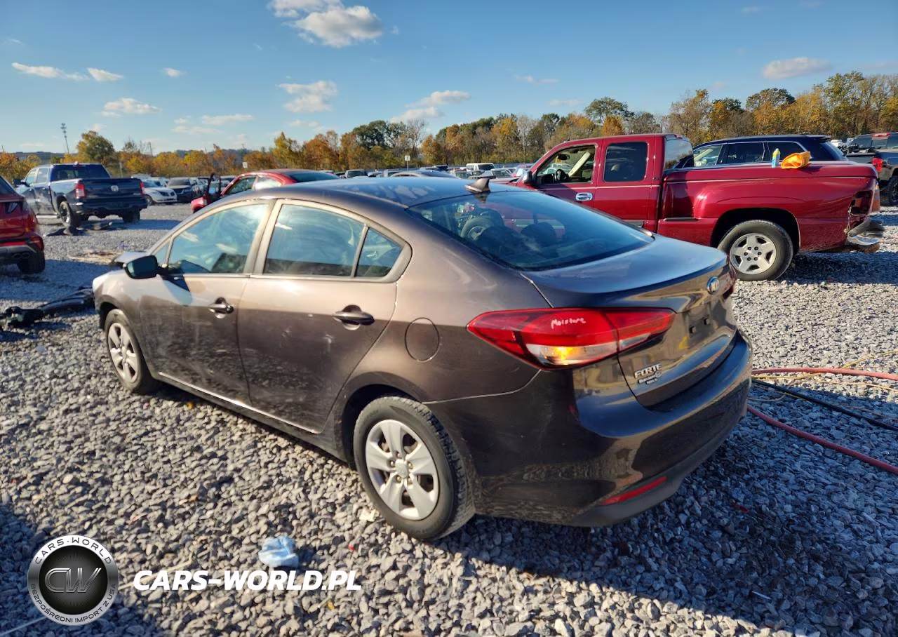2017 Kia Forte Lx VIN:3KPFK4A76HE044823 - 2