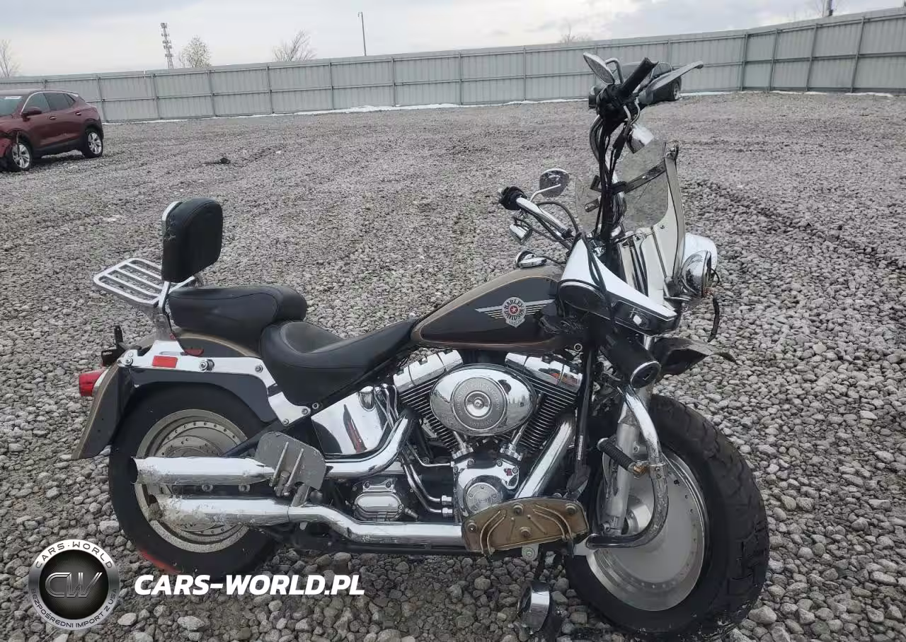 2004 Harley-Davidson Flstfi